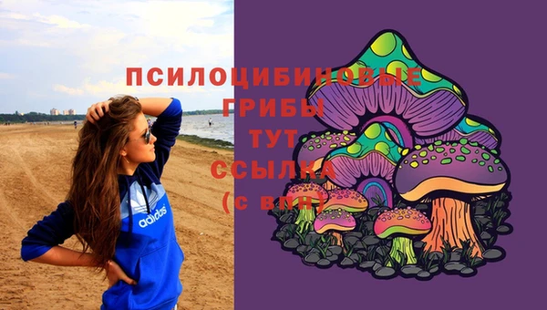 спайс Алексин