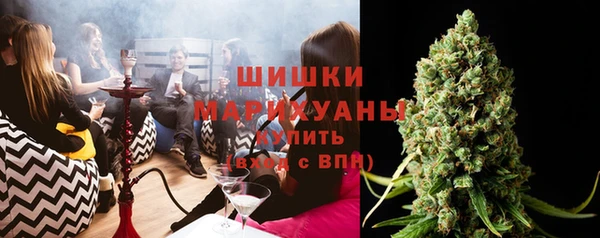 гидра Алексеевка