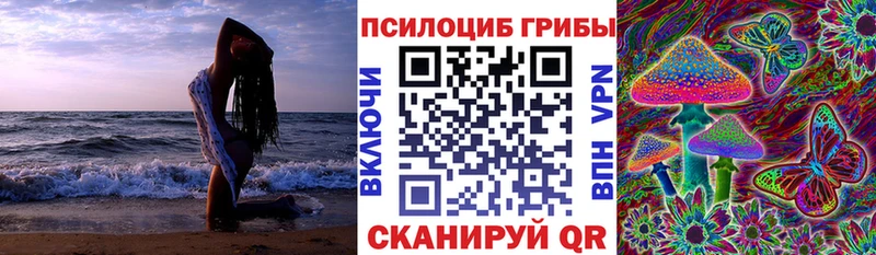 как найти   Арск  Псилоцибиновые грибы Psilocybe 